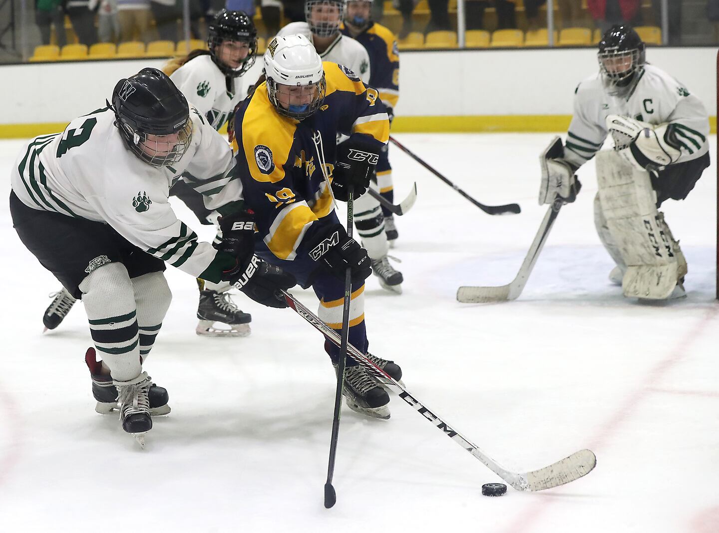 Westwood’s Grace Dore (left) fights for the puck with Notre Dame-Hingham’s Ava Bevilacqua.