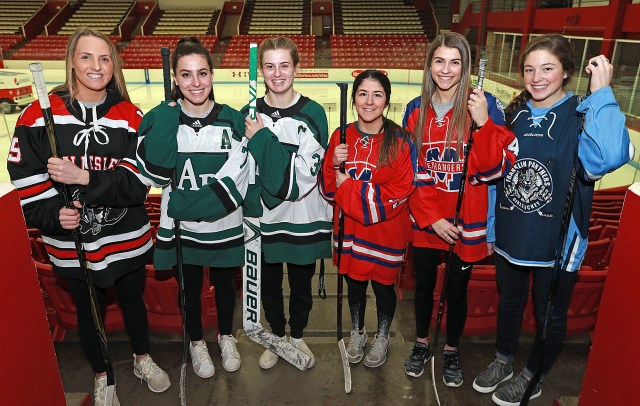 Herald All-Scholastics: Girls hockey