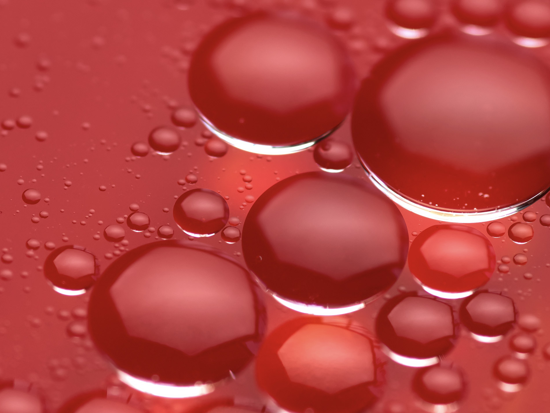 Benefits Of Electrolytes Epickl Nature s Hydration benefits-of-electrolytes-epickl-nature-s-hydration