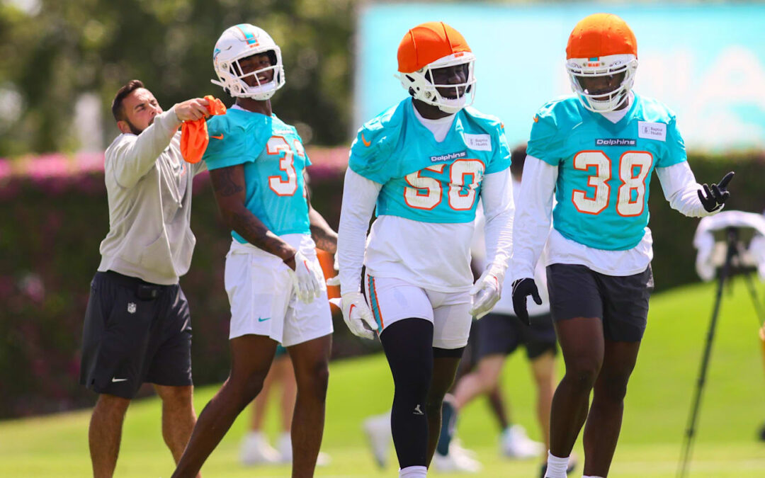 Who Is the Most Likely Dolphins Breakout Player for 2025?