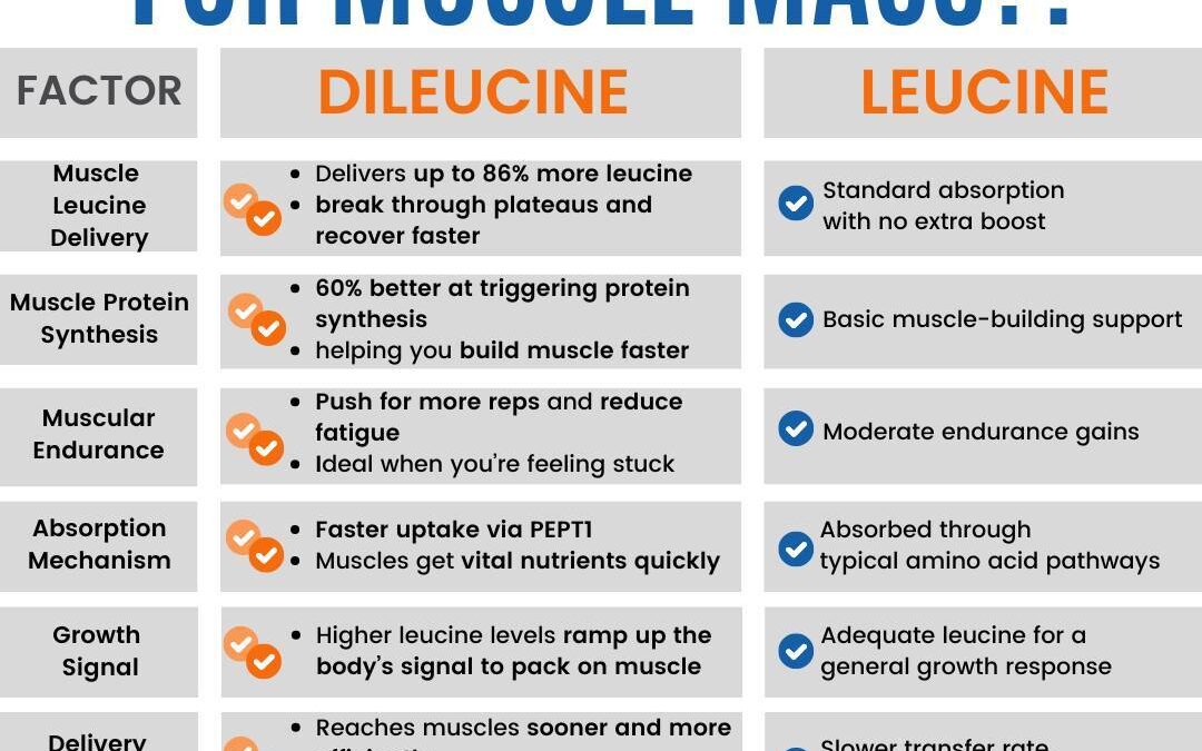 Leucine is one of the building blocks of protein and plays a big role in helping your body build and repair muscle. Thin…