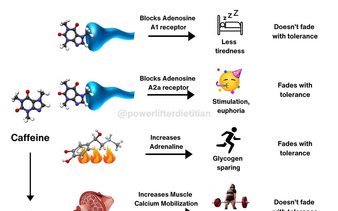 Caffeine is one of the few supplements that can improve athletic performance in some contexts.⁣ ⁣ Caffeine prevents the …