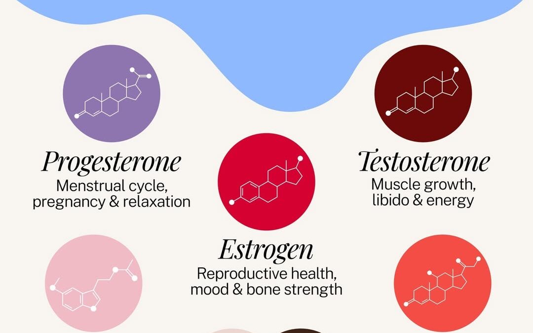 Understand your body from the inside out. 🔬 Gain expert knowledge in the Hormone Health Course and take control of your…