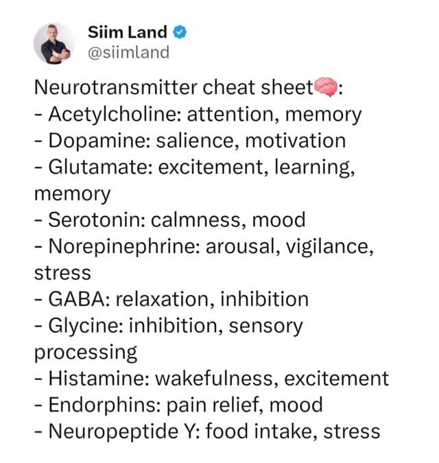 Save this for later🧠 A general cheat sheet for your neurotransmitters – Acetylcholine: attention, memory