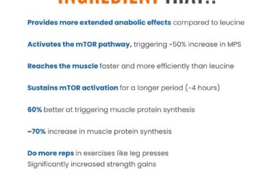 Leucine is one of the most important building blocks of protein, playing a critical role in muscle growth and recovery. …