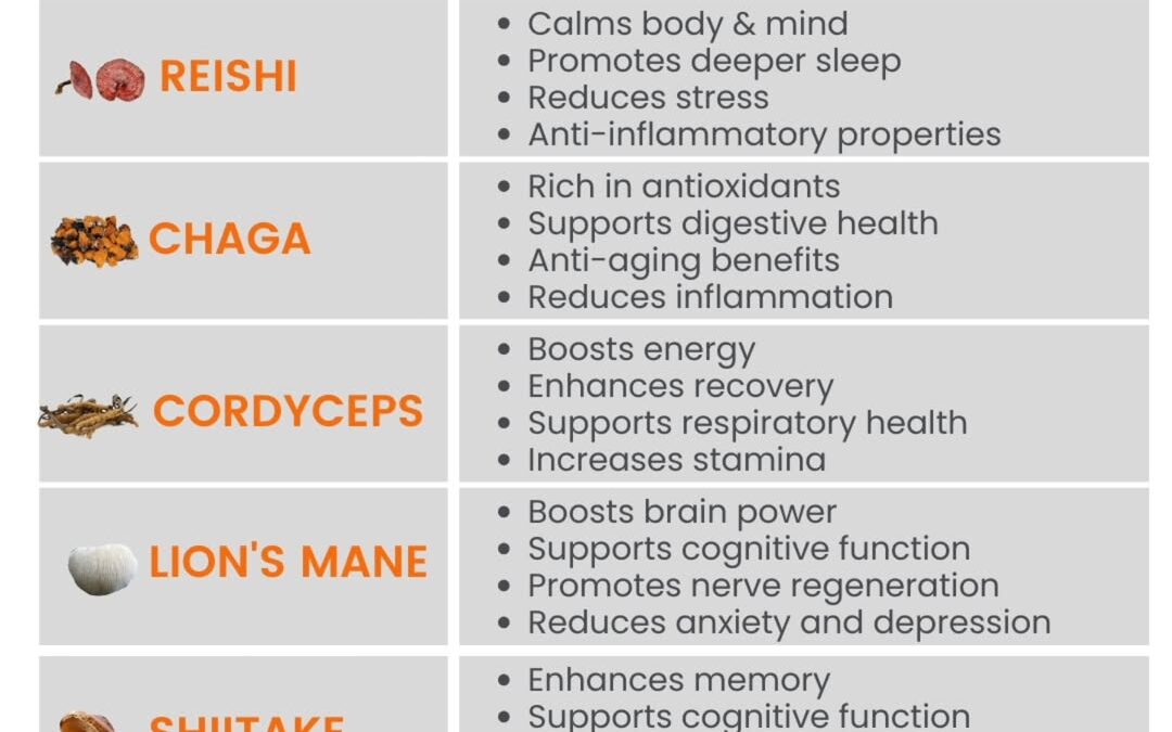 Big Pharma might not be eager to broadcast it, but mushrooms are making serious waves in modern medicine—and for good re…