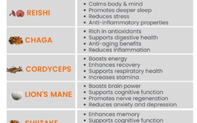 Big Pharma might not be eager to broadcast it, but mushrooms are making serious waves in modern medicine—and for good re…