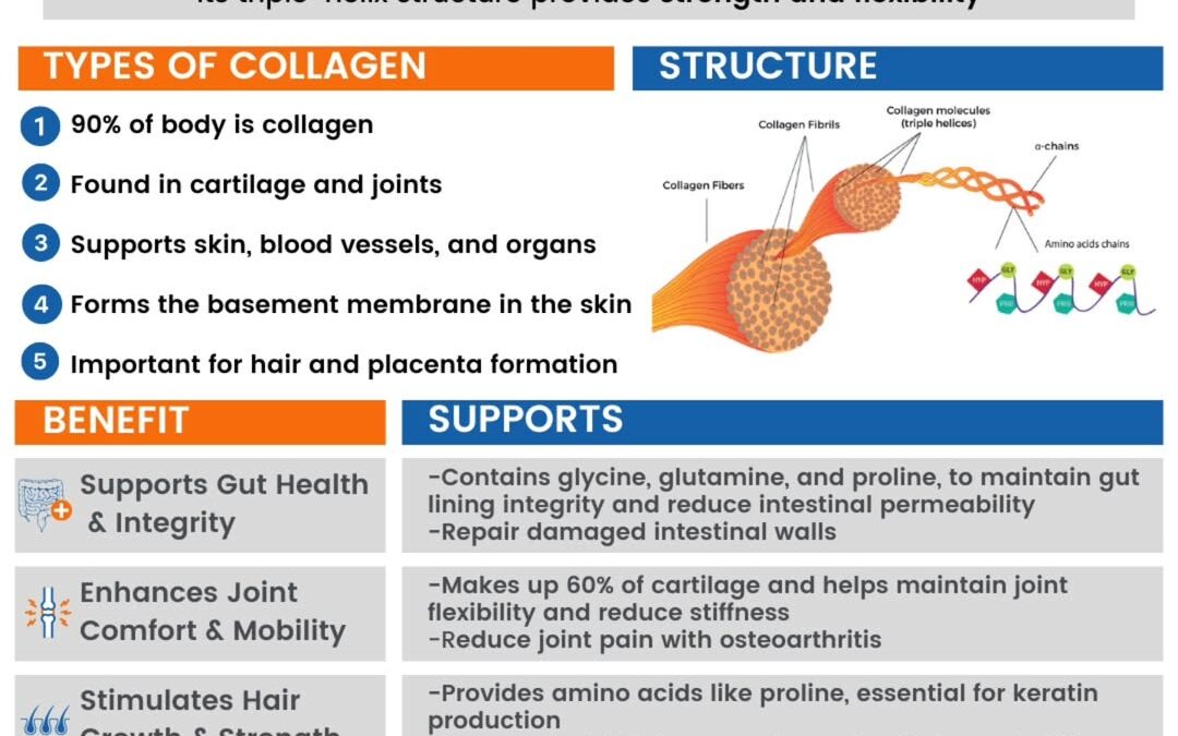 Collagen loss starts in your mid-20s and drops by 1-1.5% per year?! By the time you hit 40, you’ve lost 10-20%… and by 6…