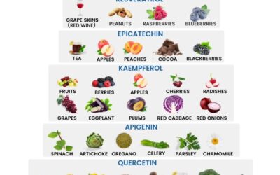 Every movement, thought, and heartbeat depends on tiny power plants inside your cells?! And as you age, they weaken… u…