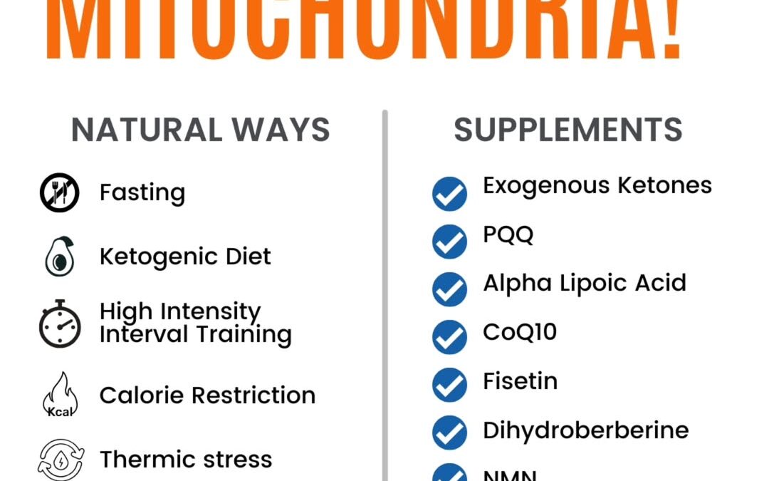 Mitochondrial health isn’t just a trendy biohacking term. It’s foundational. Your body produces about 2 billion mitochon…