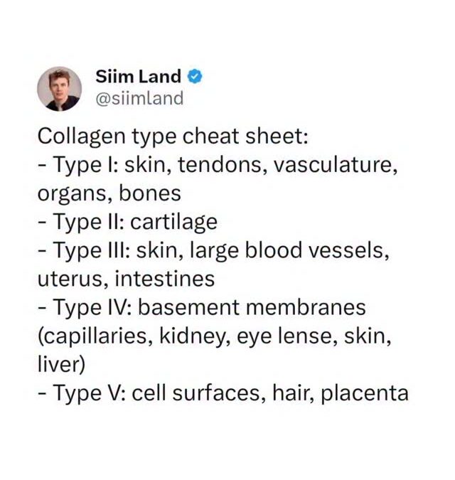 Collagen is the most abundant protein in your body, making up around 30% of your total body protein Making up your hair,…