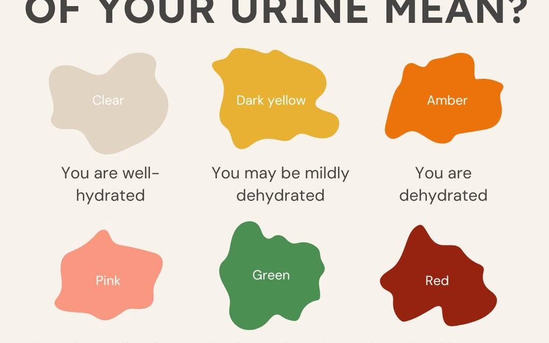 Be honest, which are you most of the time?🚽 Hit the #linkinbio to find out what the color and smell of your urine means…