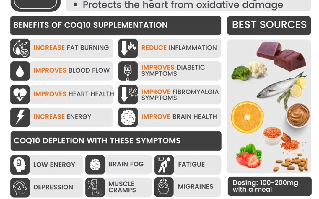 80% of your body’s energy is produced in the mitochondria. But what happens when one of its key drivers—CoQ10—starts to …