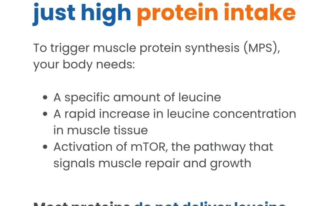 Hitting your protein goals but still not seeing muscle gains?! You are not alone. I see this all the time, especially in…