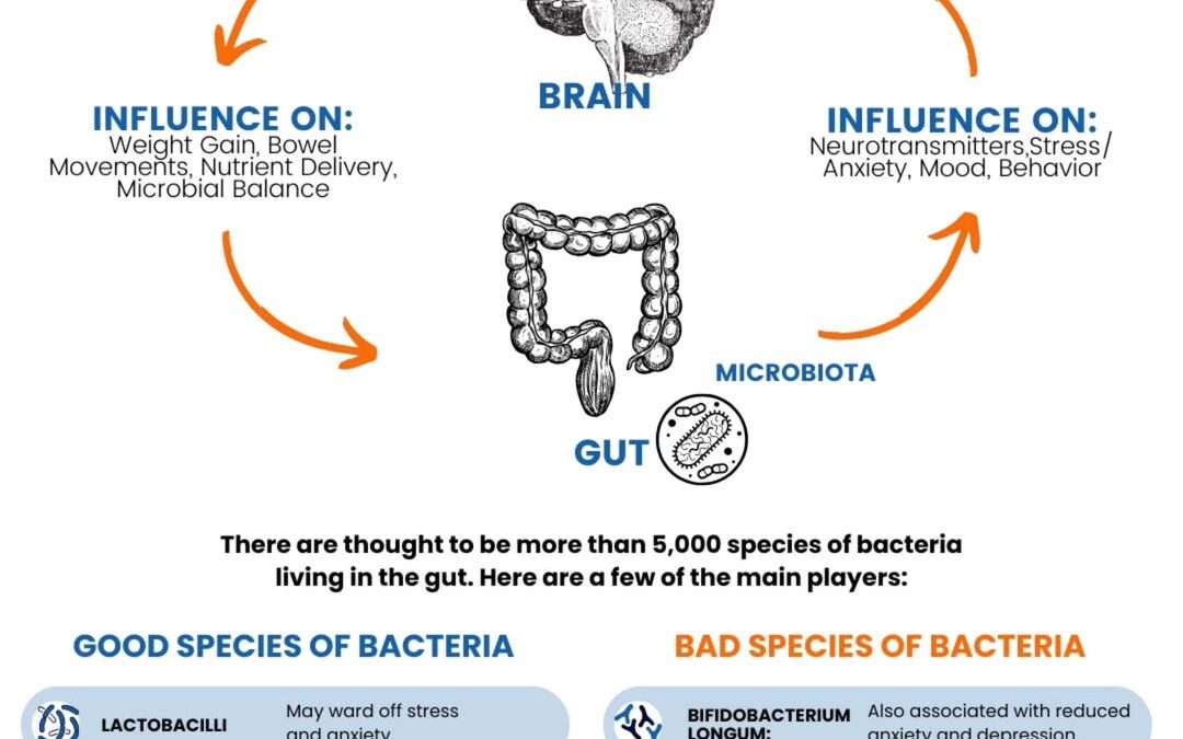 Anxiety, brain fog, or mood swings might not be in your head… but in your gut?! Most people don’t realize their gut is…