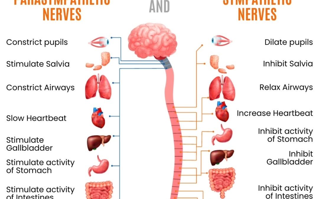 You could be spending hundreds on supplements… and still absorbing next to nothing?! That’s exactly what I discovered wh…