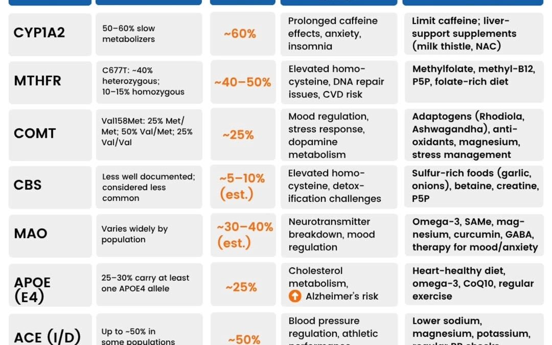 Everyone technically has gene “mutations” (small genetic variations)… 40%–60% of the general population has an MTHFR v…